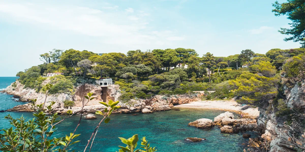 Paysage de  Cap d'Antibes & Environs